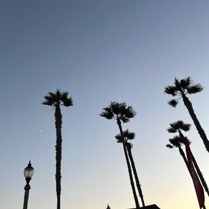 Meet your Posher, Bryce